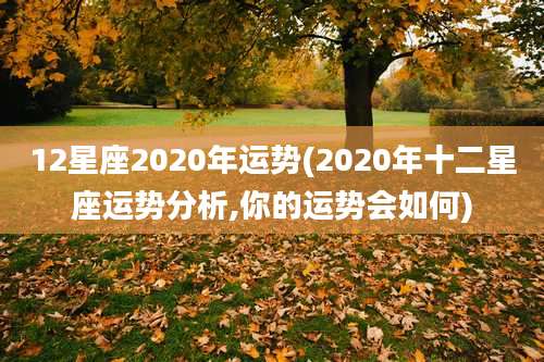 12星座2020年运势(2020年十二星座运势分析,你的运势会如何)