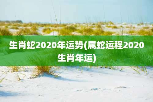 生肖蛇2020年运势(属蛇运程2020生肖年运)