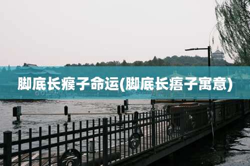 脚底长瘊子命运(脚底长痦子寓意)