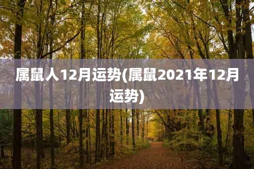 属鼠人12月运势(属鼠2021年12月运势)