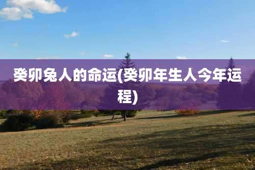 癸卯兔人的命运(癸卯年生人今年运程)