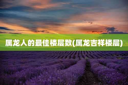 属龙人的最佳楼层数(属龙吉祥楼层)