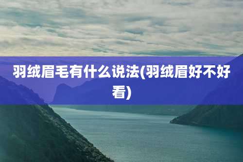 羽绒眉毛有什么说法(羽绒眉好不好看)