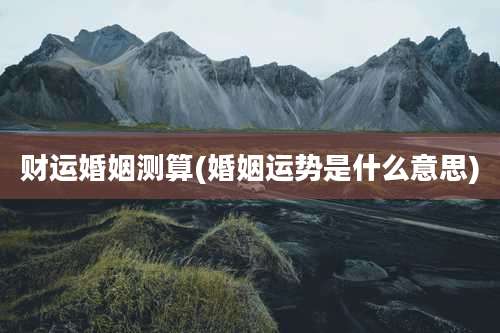 财运婚姻测算(婚姻运势是什么意思)