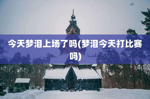 今天梦泪上场了吗(梦泪今天打比赛吗)