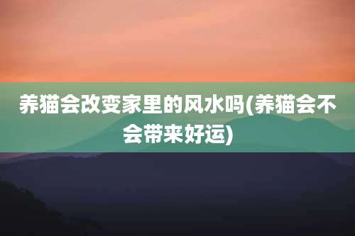 养猫会改变家里的风水吗(养猫会不会带来好运)