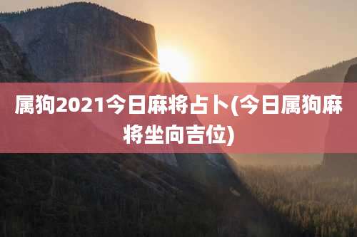 属狗2021今日麻将占卜(今日属狗麻将坐向吉位)