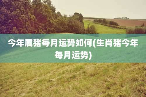 今年属猪每月运势如何(生肖猪今年每月运势)