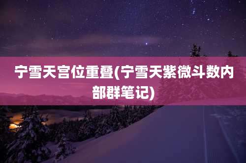 宁雪天宫位重叠(宁雪天紫微斗数内部群笔记)