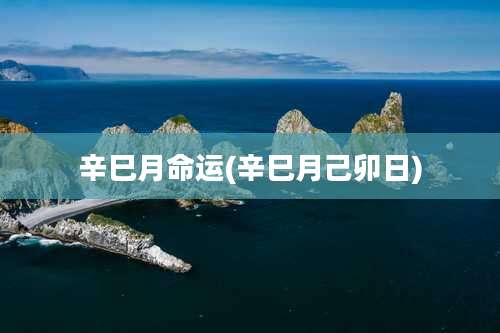 辛巳月命运(辛巳月己卯日)