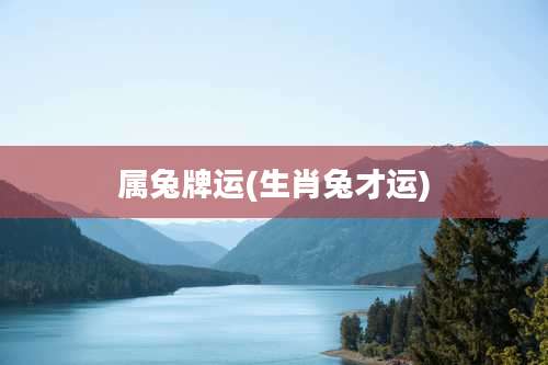 属兔牌运(生肖兔才运)