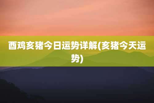 酉鸡亥猪今日运势详解(亥猪今天运势)