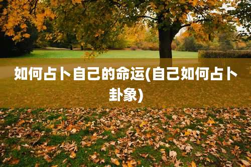 如何占卜自己的命运(自己如何占卜卦象)