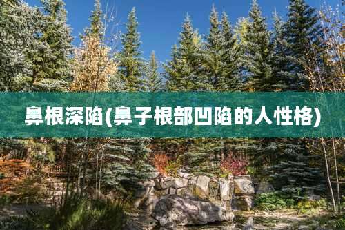 鼻根深陷(鼻子根部凹陷的人性格)