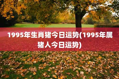 1995年生肖猪今日运势(1995年属猪人今日运势)