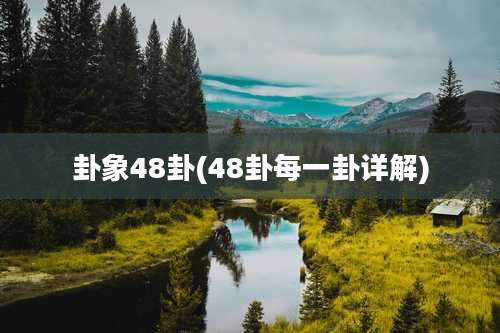 卦象48卦(48卦每一卦详解)