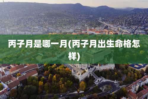 丙子月是哪一月(丙子月出生命格怎样)