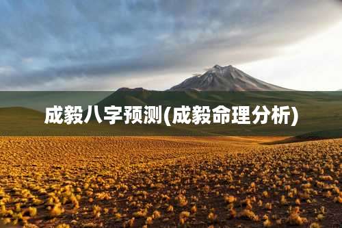 成毅八字预测(成毅命理分析)
