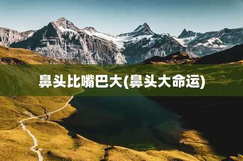 鼻头比嘴巴大(鼻头大命运)