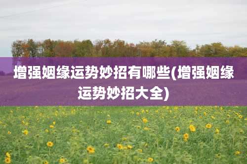 增强姻缘运势妙招有哪些(增强姻缘运势妙招大全)