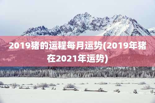 2019猪的运程每月运势(2019年猪在2021年运势)