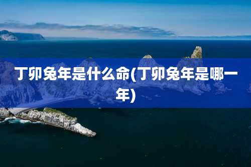 丁卯兔年是什么命(丁卯兔年是哪一年)