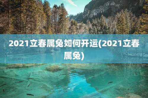 2021立春属兔如何开运(2021立春属兔)
