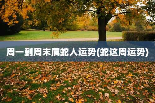 周一到周末属蛇人运势(蛇这周运势)