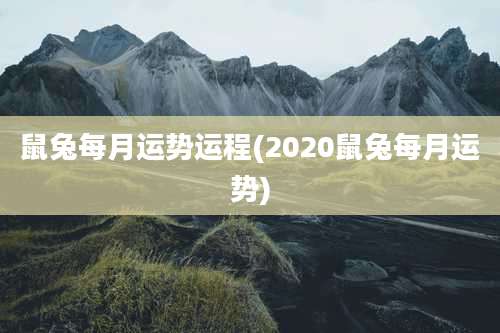 鼠兔每月运势运程(2020鼠兔每月运势)