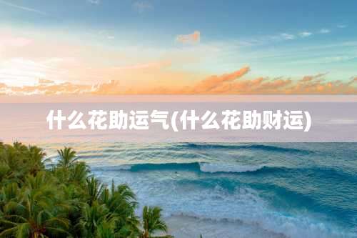 什么花助运气(什么花助财运)