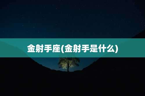 金射手座(金射手是什么)