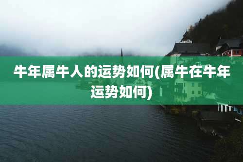 牛年属牛人的运势如何(属牛在牛年运势如何)