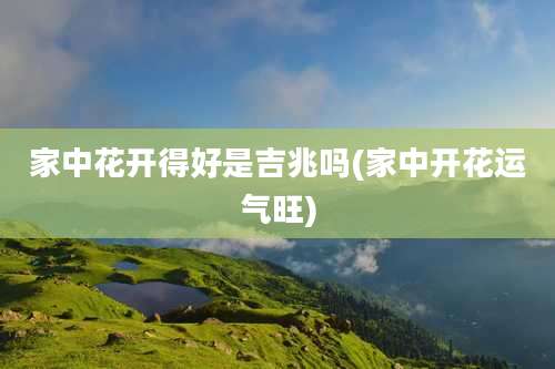 家中花开得好是吉兆吗(家中开花运气旺)