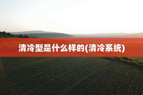 清冷型是什么样的(清冷系统)