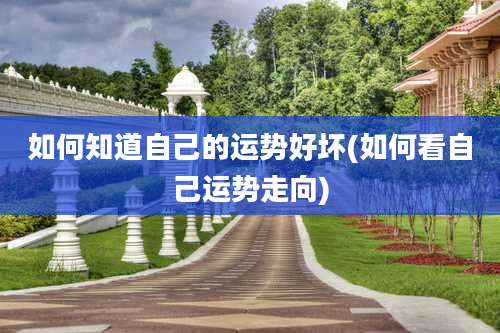 如何知道自己的运势好坏(如何看自己运势走向)
