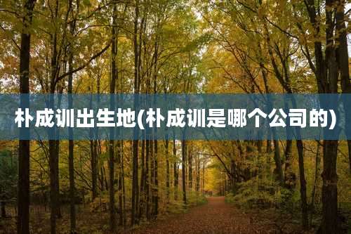 朴成训出生地(朴成训是哪个公司的)