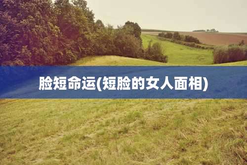 脸短命运(短脸的女人面相)