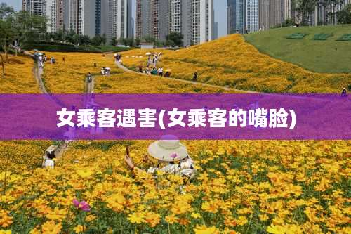 女乘客遇害(女乘客的嘴脸)