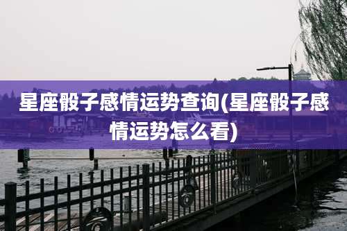 星座骰子感情运势查询(星座骰子感情运势怎么看)