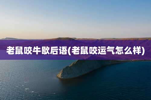 老鼠咬牛歇后语(老鼠咬运气怎么样)