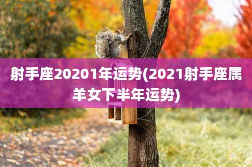 射手座20201年运势(2021射手座属羊女下半年运势)