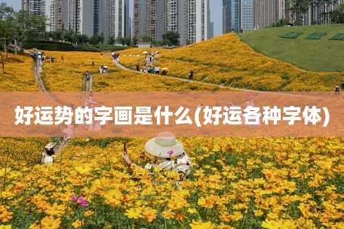 好运势的字画是什么(好运各种字体)