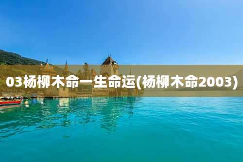03杨柳木命一生命运(杨柳木命2003)