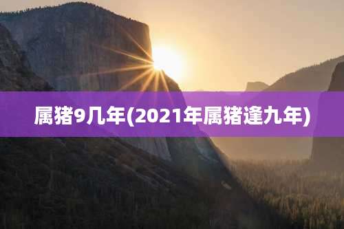 属猪9几年(2021年属猪逢九年)