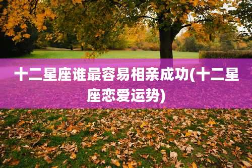 十二星座谁最容易相亲成功(十二星座恋爱运势)