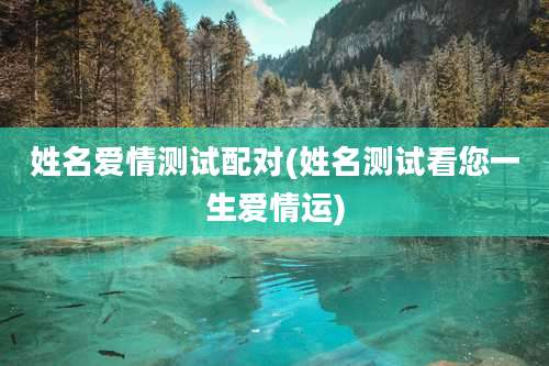 姓名爱情测试配对(姓名测试看您一生爱情运)