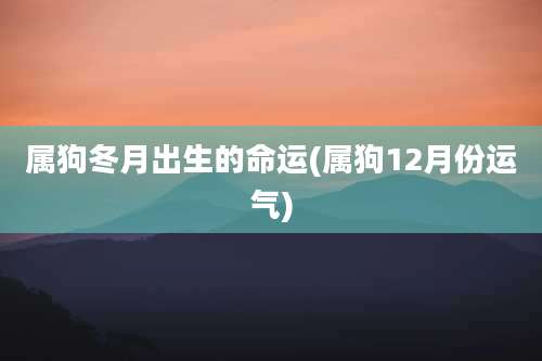 属狗冬月出生的命运(属狗12月份运气)