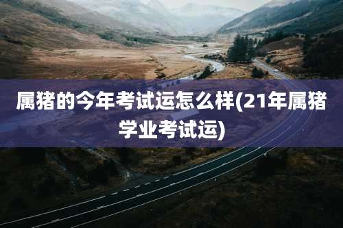 属猪的今年考试运怎么样(21年属猪学业考试运)