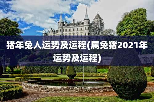 猪年兔人运势及运程(属兔猪2021年运势及运程)