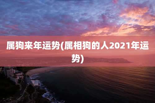 属狗来年运势(属相狗的人2021年运势)
